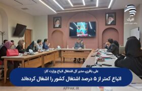 مدیرکل اشتغال اتباع وزارت کار: اتباع کمتر از ۵ درصد اشتغال کشور را اشغال کرده‌اند